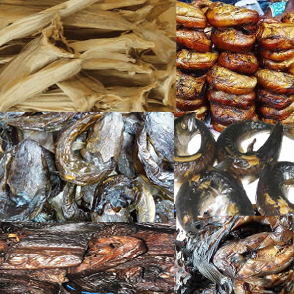 Dried Fish Varieties